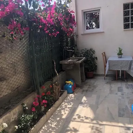 Denisa *